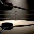 Photo of Boxing Ring