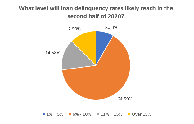 Business Survey Question: What level will loan delinquency rates likely reach in the second half of 2020?