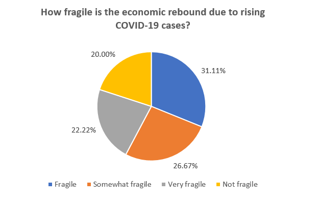 Business Survey Question: How fragile is the economic rebound due to rising COVID-19 cases?